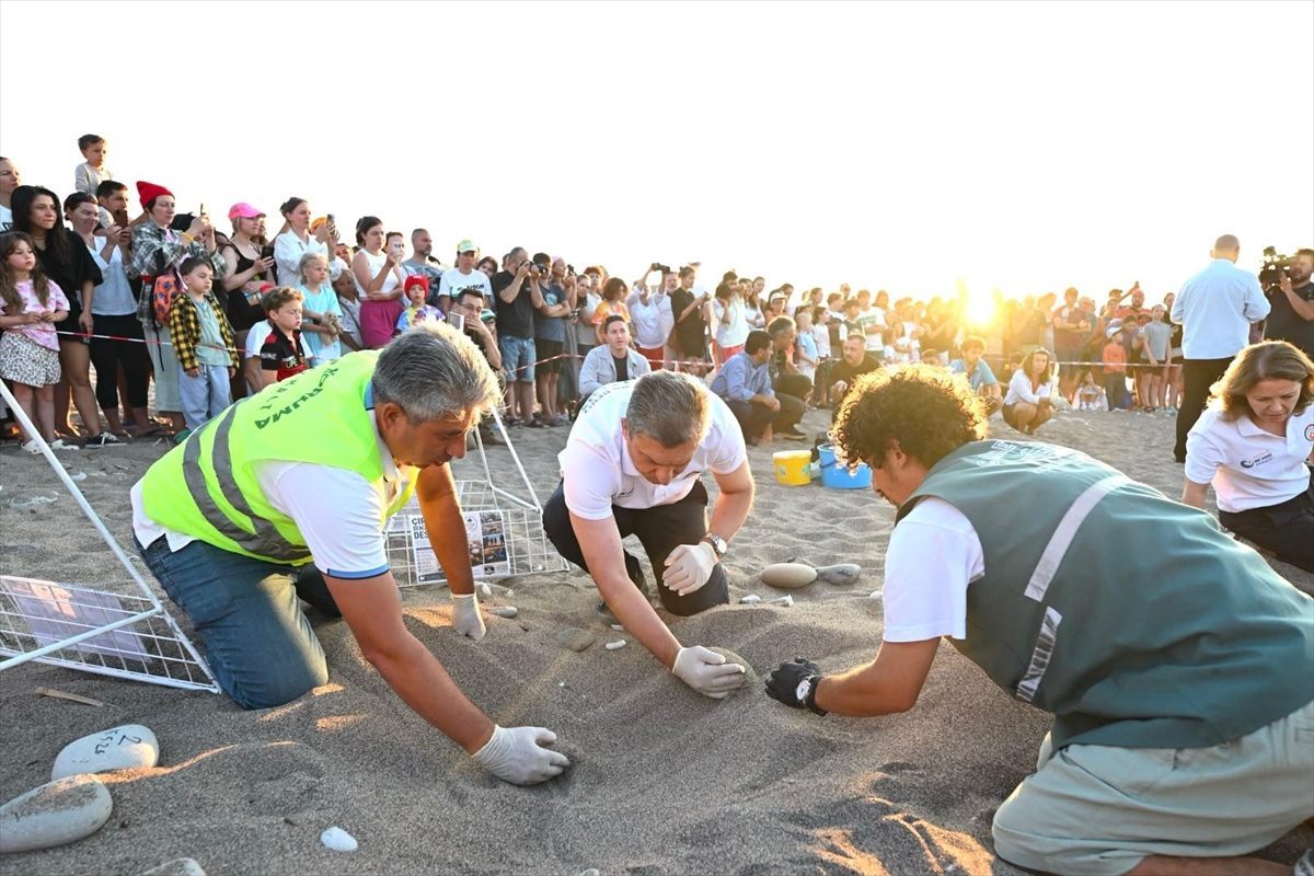 Çıralı Plajı’nda caretta caretta yavruları Mavi Akdeniz İnisiyatifi ile denize ulaştı