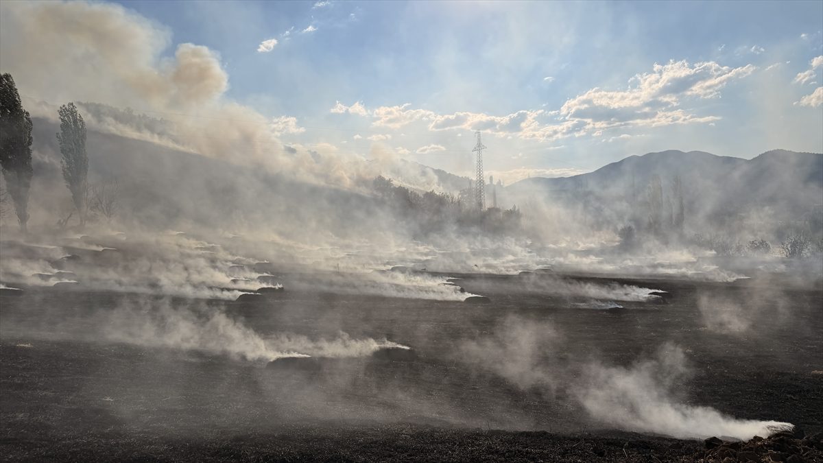 Çorum’da ormanlık alana sıçrayan yangına müdahale ediliyor
