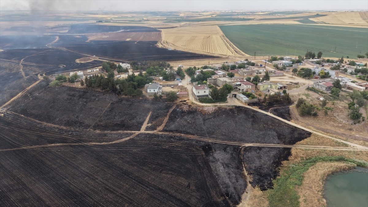 Diyarbakır’da çıkan anız yangınına ekiplerce müdahale ediliyor