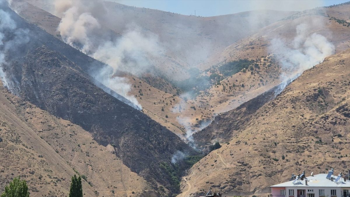 Elazığ’da çıkan örtü yangınına müdahale ediliyor