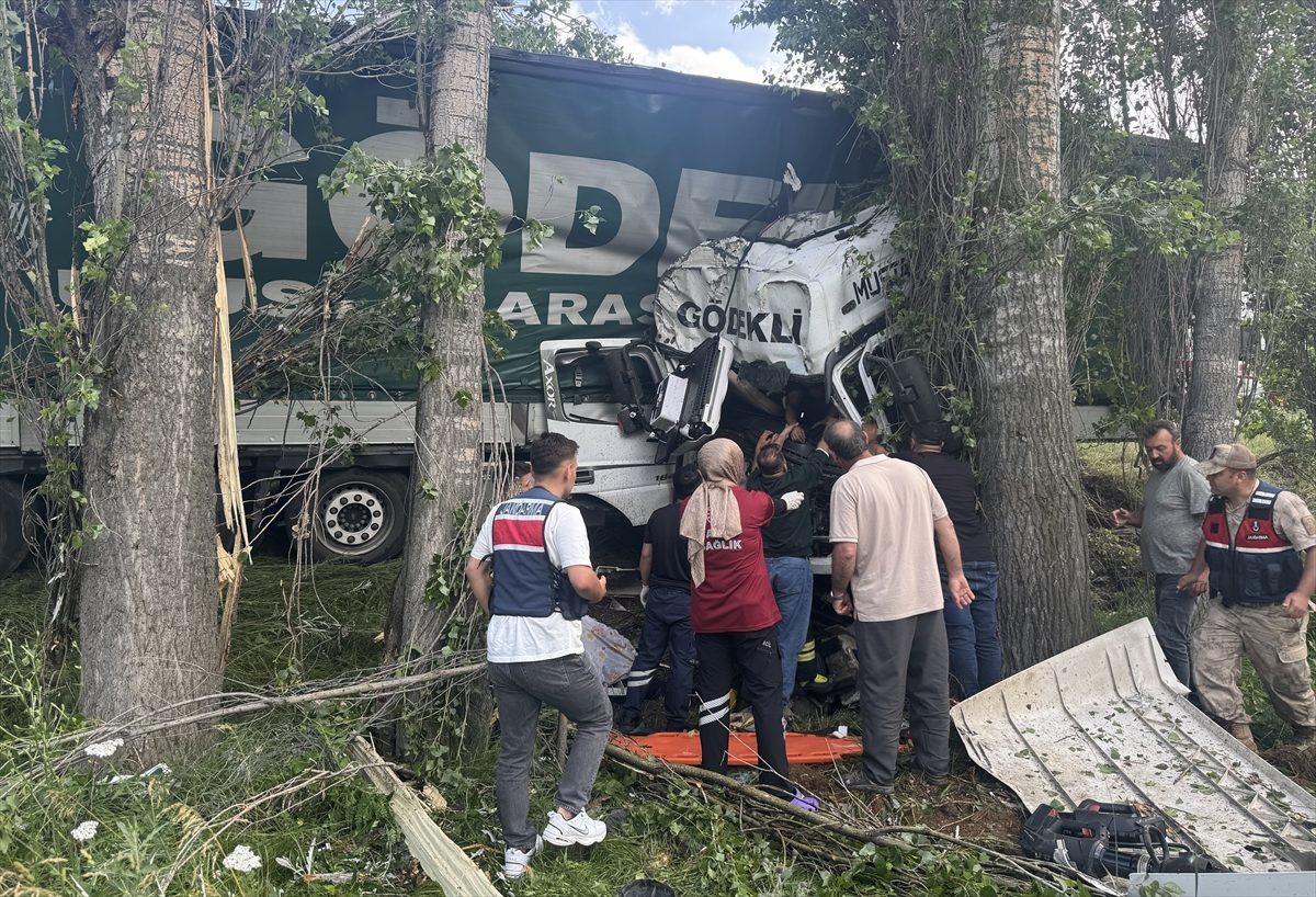 Erzurum’da ağaçlara çarpan tırın sürücüsü öldü