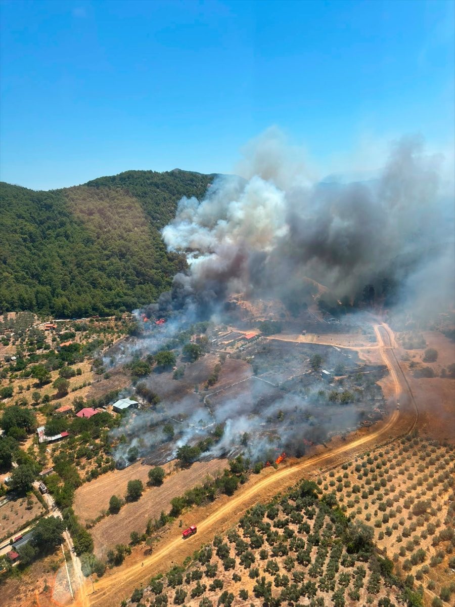 Fethiye’de çıkan orman yangınına havadan ve karadan müdahale ediliyor