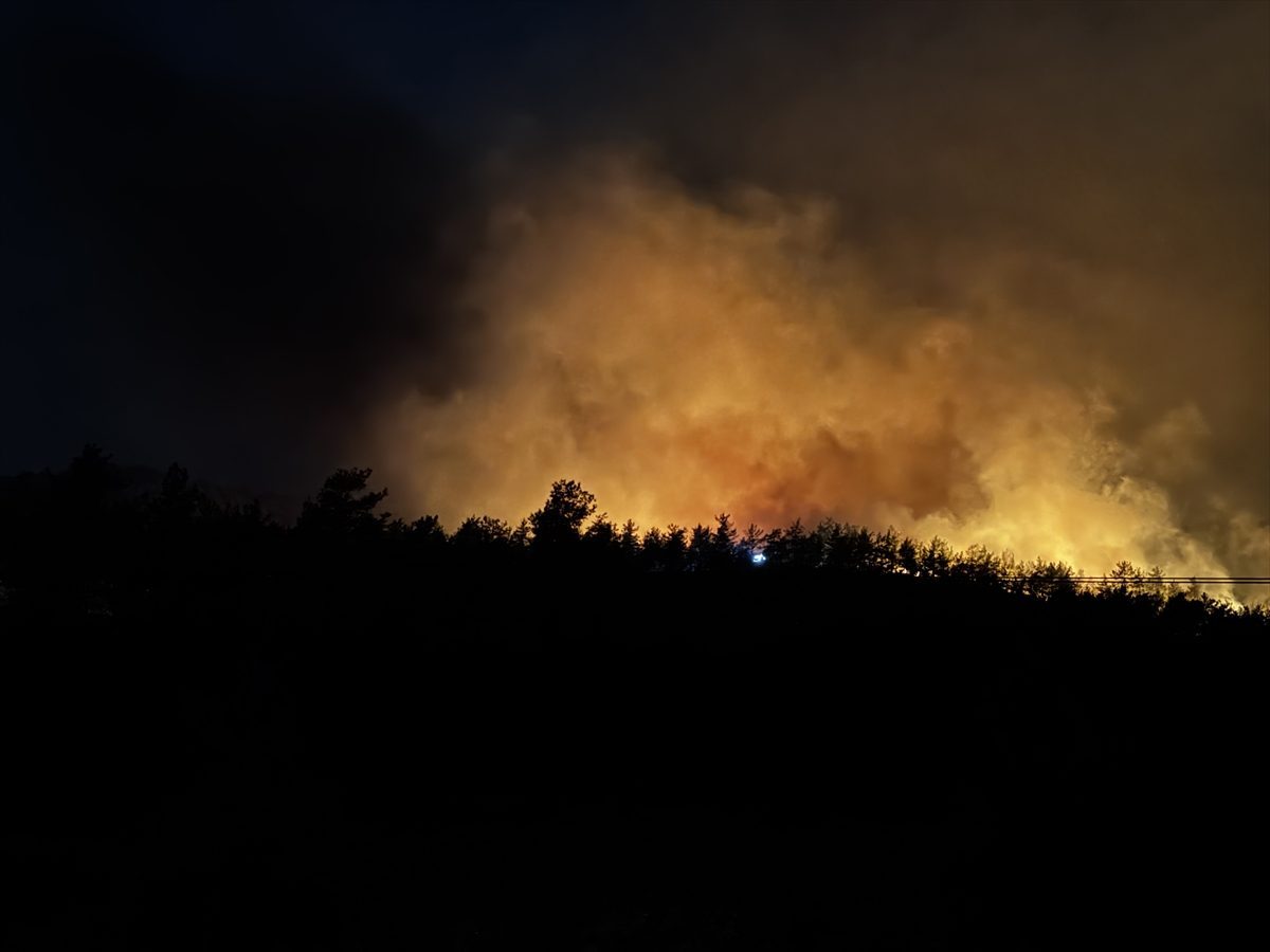 Fethiye’de orman yangını çıktı