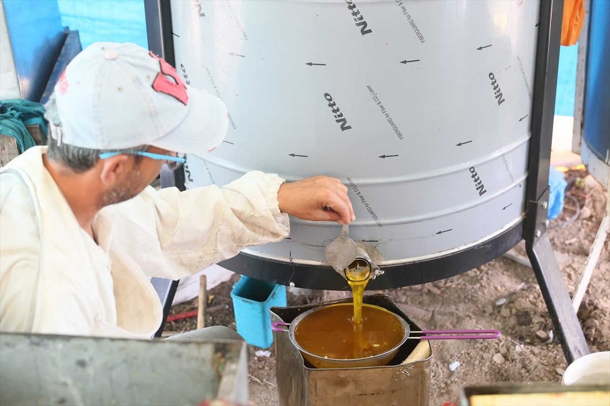 Gezgin arıcı ailelerin Edirne’de bal mesaisi sürüyor