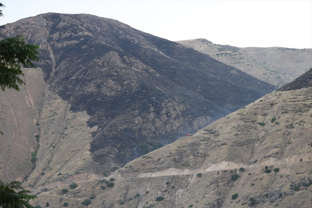 GÜNCELLEME 2 – Elazığ’da çıkan örtü yangını söndürüldü