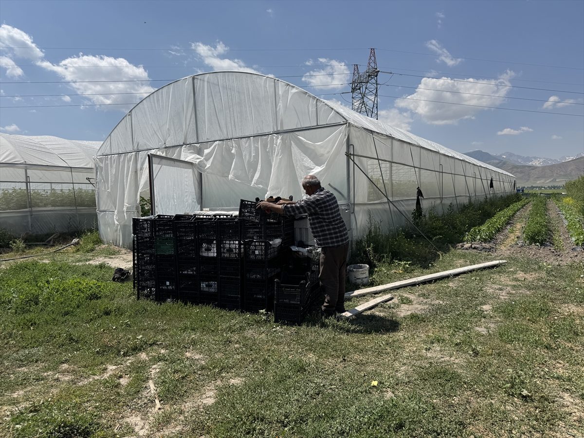Hakkarili çiftçi hurda malzemelerle başladığı seracılıkta sera sayısını altıya çıkardı