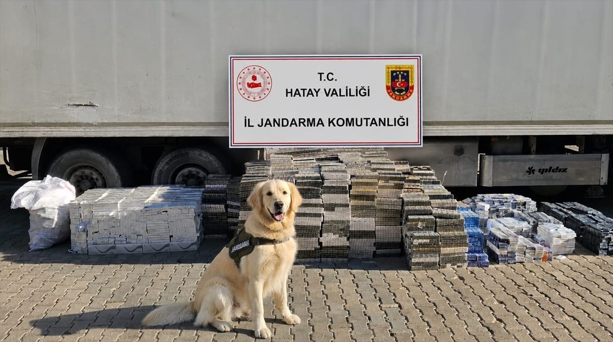 Hatay’da tırda 30 bin paket kaçak sigara ele geçirildi