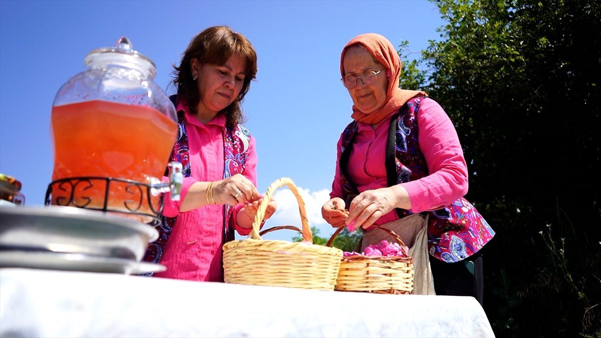 Isparta’da Osmanlı’dan günümüze gül şerbeti geleneği yaşatılıyor