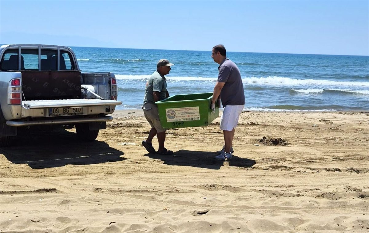İzmir ve Aydın’da 3 caretta caretta sahilde ölü bulundu