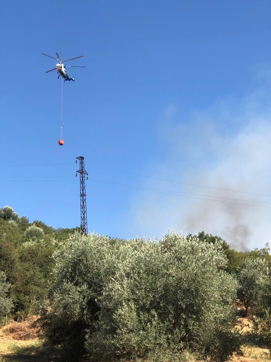 İzmir’de arazide çıkan yangın kontrol altına alındı