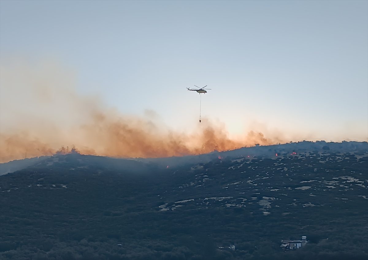 İzmir’de çıkan orman yangınına havadan ve karadan müdahale ediliyor