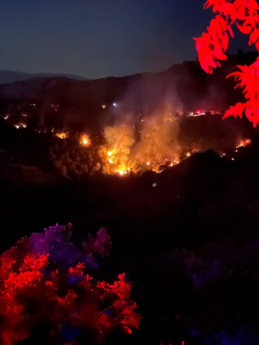 İzmir’de ormanlık alanda çıkan yangına müdahale ediliyor
