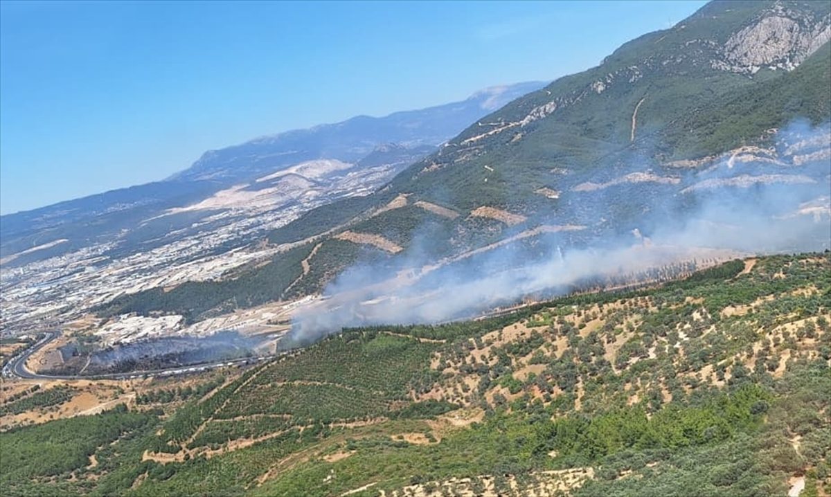 İzmir’de otluk alanda çıkan yangın ormana sıçradı