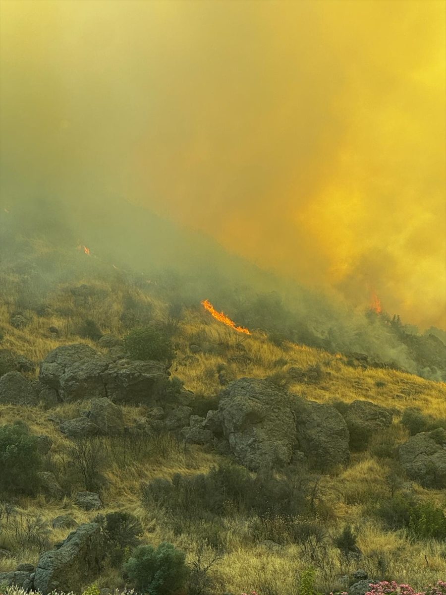 İzmir’de otluk alanda çıkan yangına müdahale ediliyor