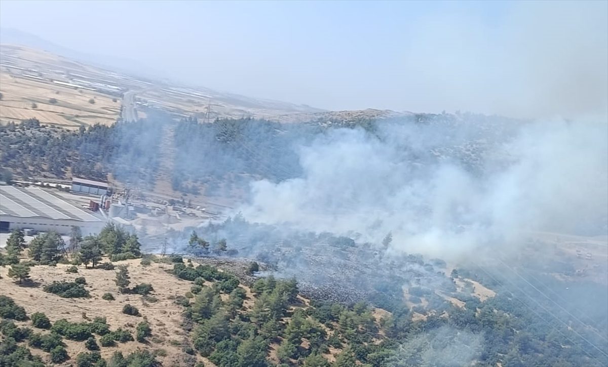 Kahramanmaraş’ta çıkan orman yangını kontrol altına alındı