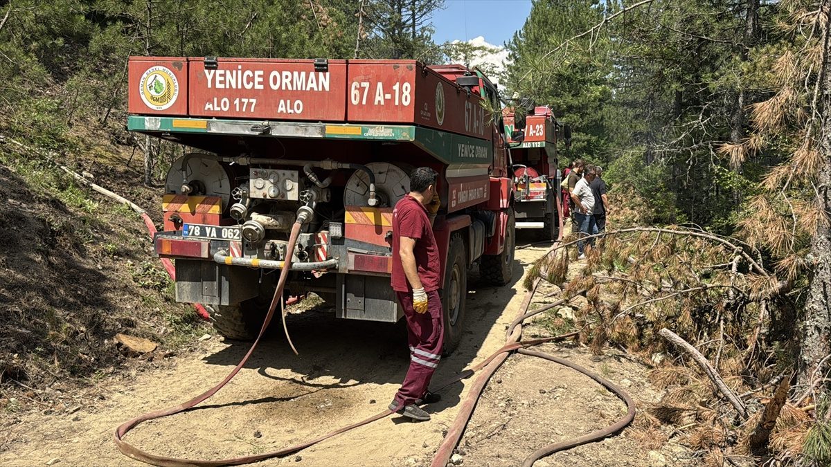 Karabük’te ormanlık alanda çıkan yangın kontrol altına alındı