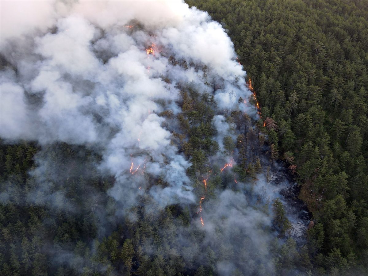 Kastamonu’da bir evde çıkan yangın ormanlık alana sıçradı