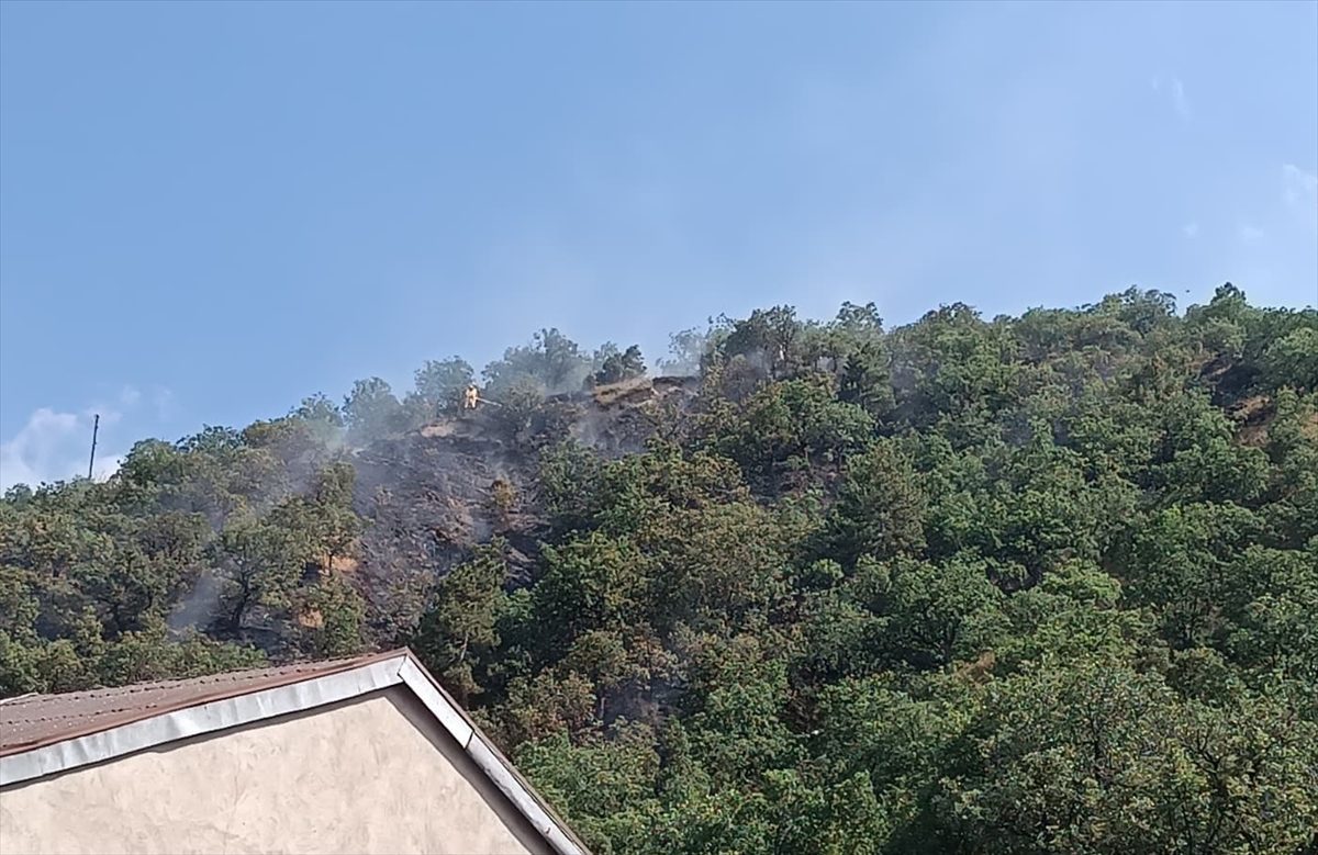 GÜNCELLEME – Kastamonu’da çıkan orman yangını söndürüldü