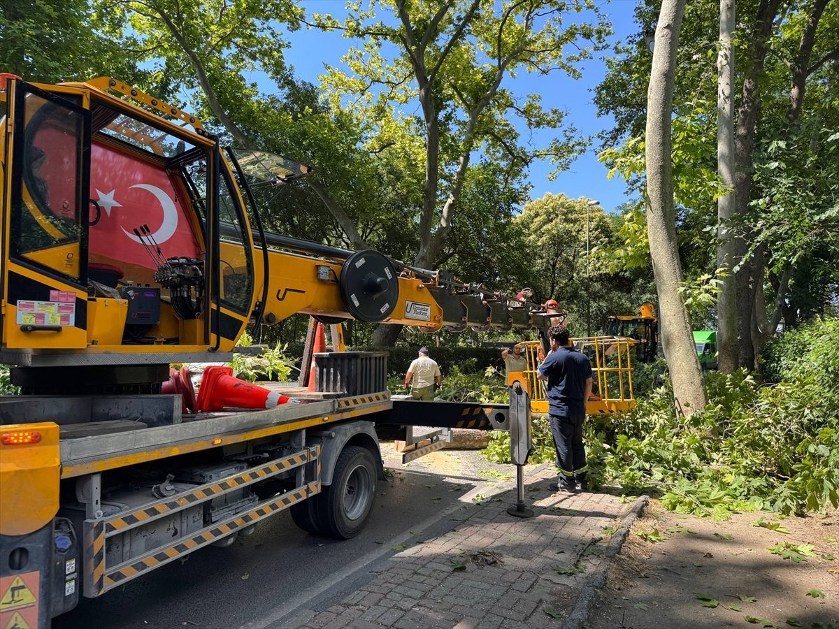 Küçükçekmece’de devrilen ağaç nedeniyle otomobilde hasar oluştu