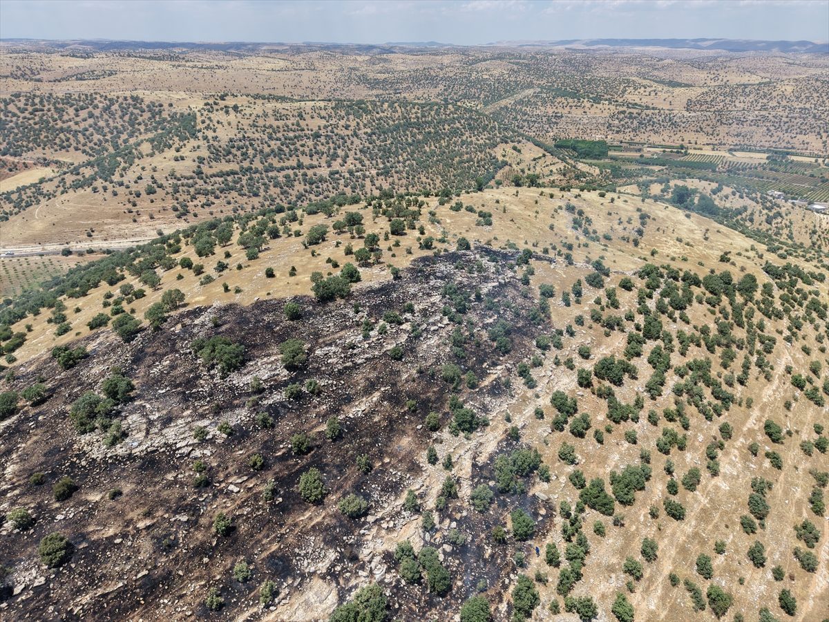 GÜNCELLEME – Mardin’de çıkan orman yangını söndürüldü