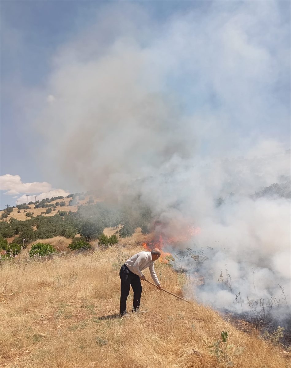 Mardin’de çıkan orman yangınına müdahale ediliyor