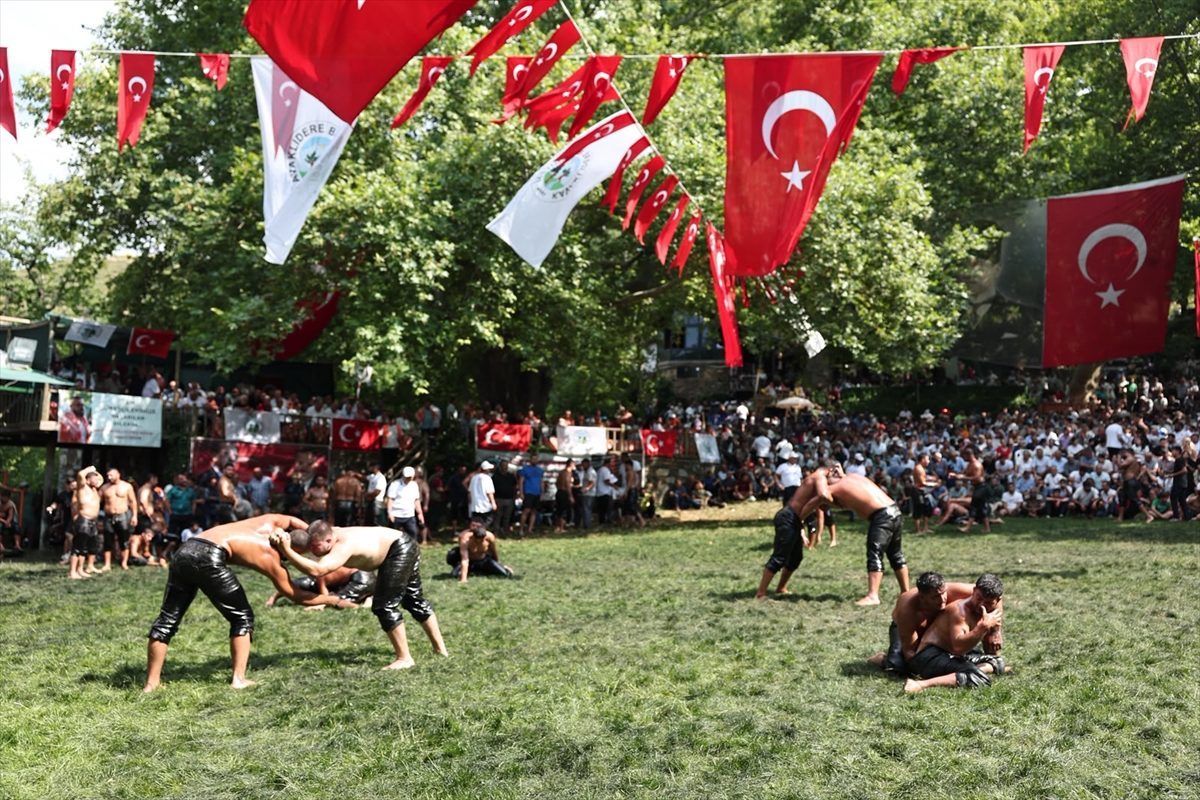 Menteşe Beşpınar Yağlı Güreşleri’nde başpehlivanlığı Erkan Taş kazandı