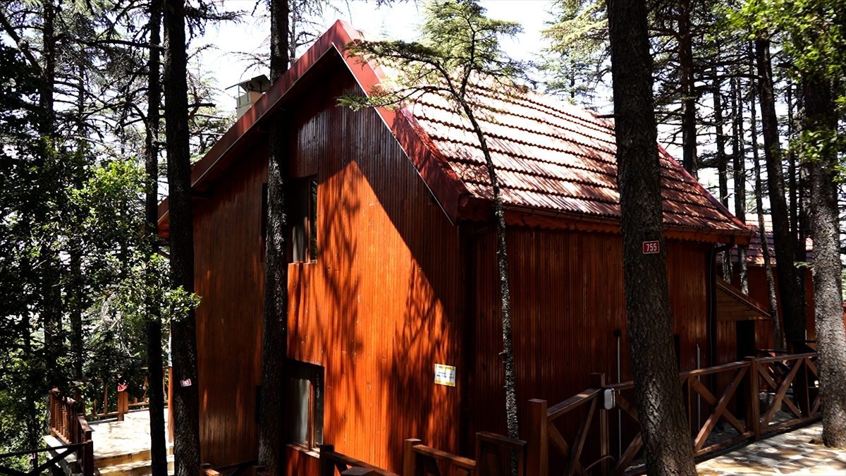 Mikrokliması ve mavi sedir ormanlarıyla Kızıldağ ziyaretçilerini ağırlıyor