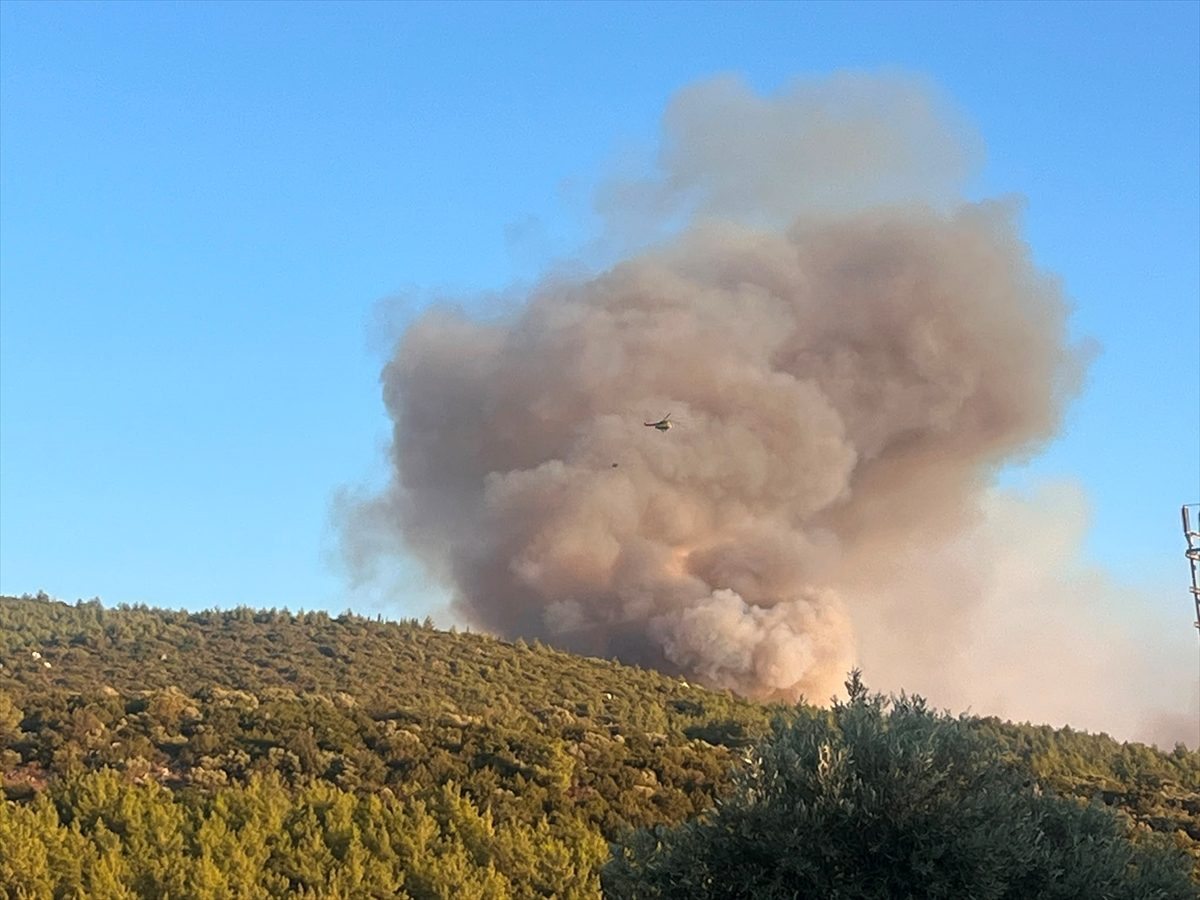 GÜNCELLEME – Milas’ta ormanlık alanda çıkan yangına müdahale ediliyor