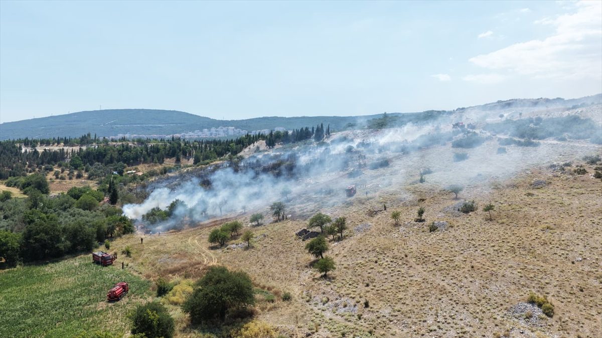 Muğla’da orman ve tarım alanında çıkan yangına müdahale ediliyor