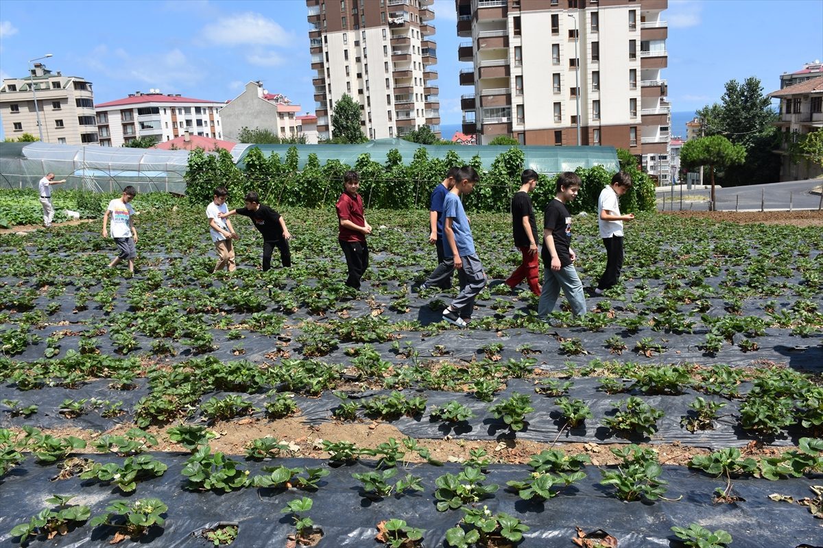 Öğrenciler üretimin her aşamasını tarlada öğreniyor