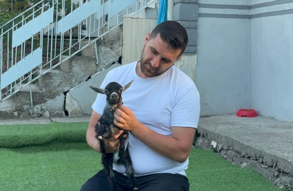 Pet shopa yem almaya giden çift, doğuştan yürüme engelli keçi yavrusunu sahiplendi