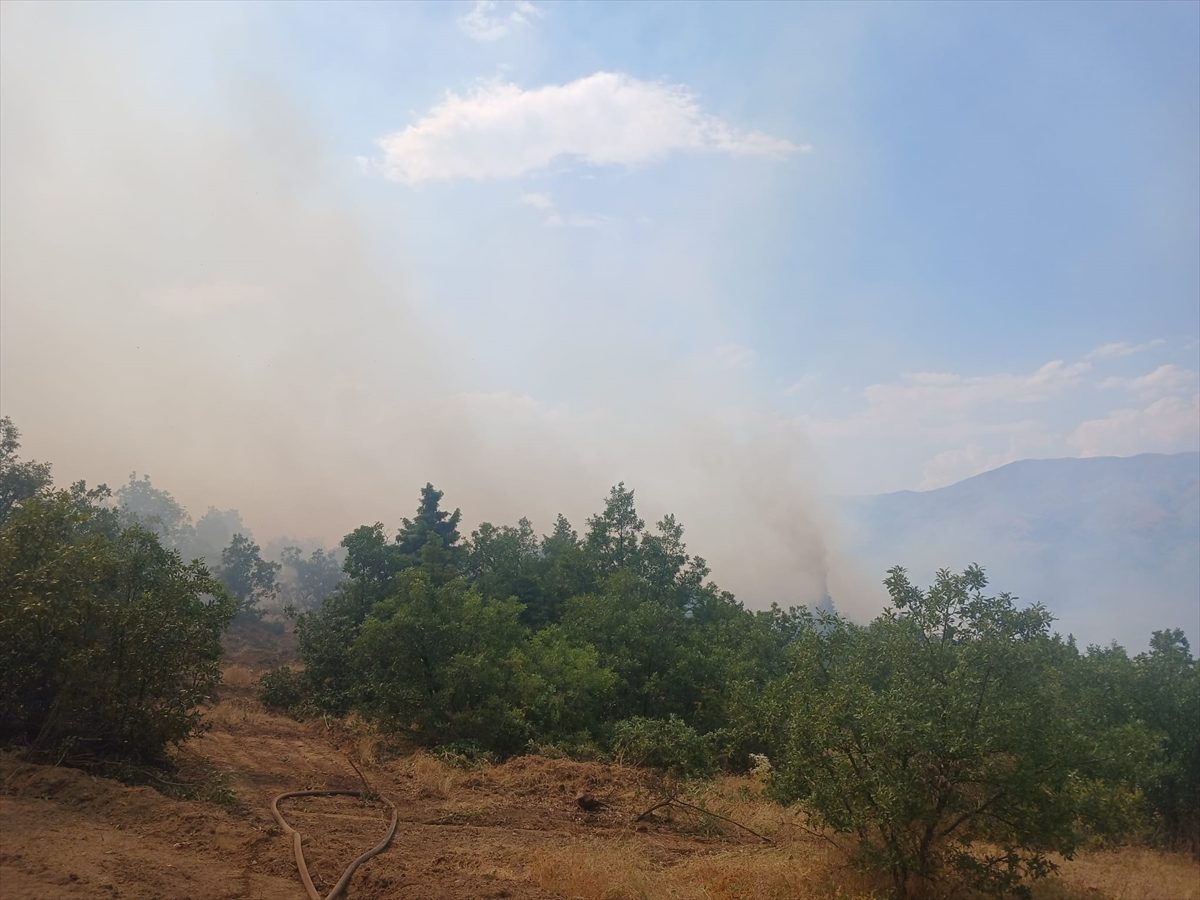Pütürge’de çıkan orman yangınına müdahale ediliyor