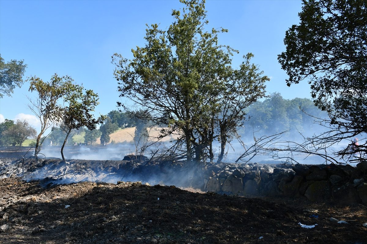 Samsun’da yaklaşık 300 dönüm buğday ekili arazi yangında zarar gördü