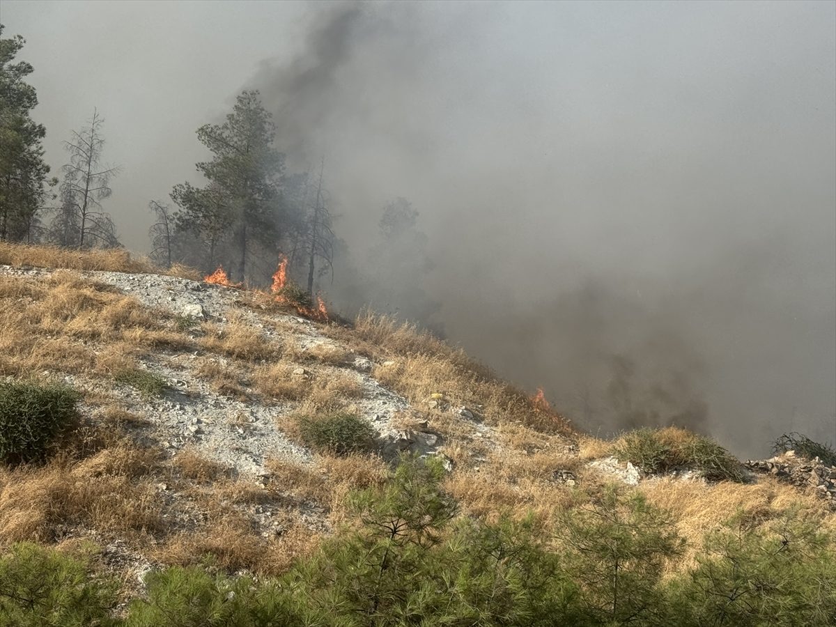 Şanlıurfa’da ormanlık alana sıçrayan yangına müdahale ediliyor