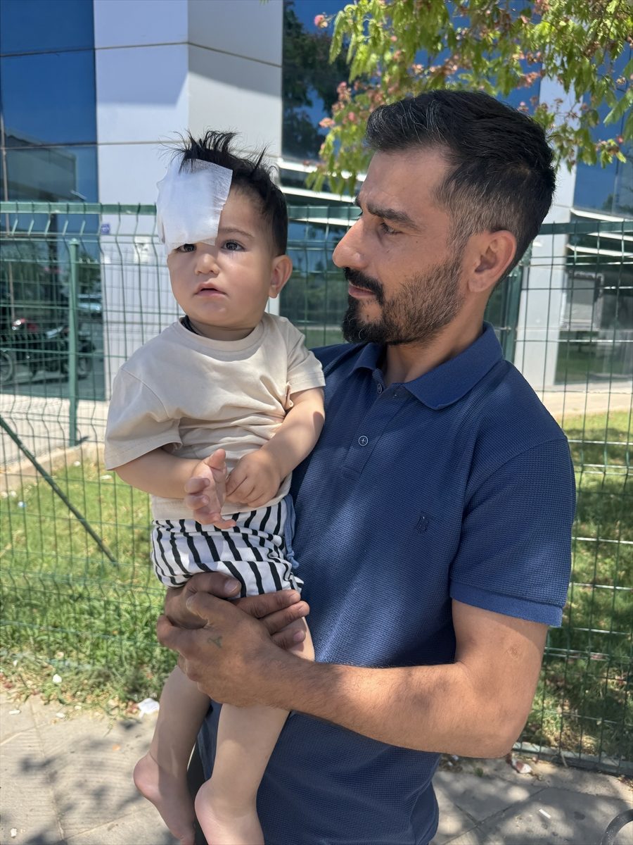 Şanlıurfa’da sahipsiz köpeğin saldırısına uğrayan çocuk yaralandı
