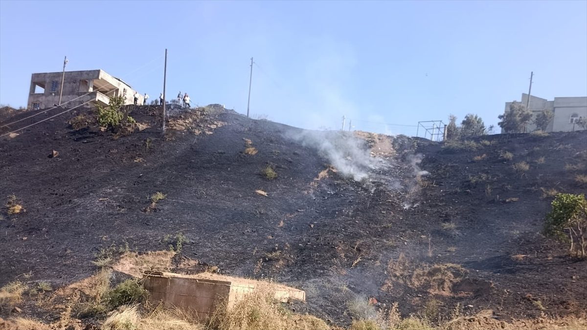 Siirt’te otluk alanda çıkan yangın söndürüldü