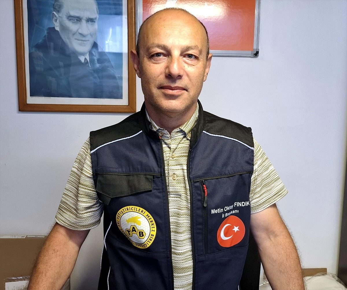 Sinop’ta kestane balında iyi sezon beklentisi