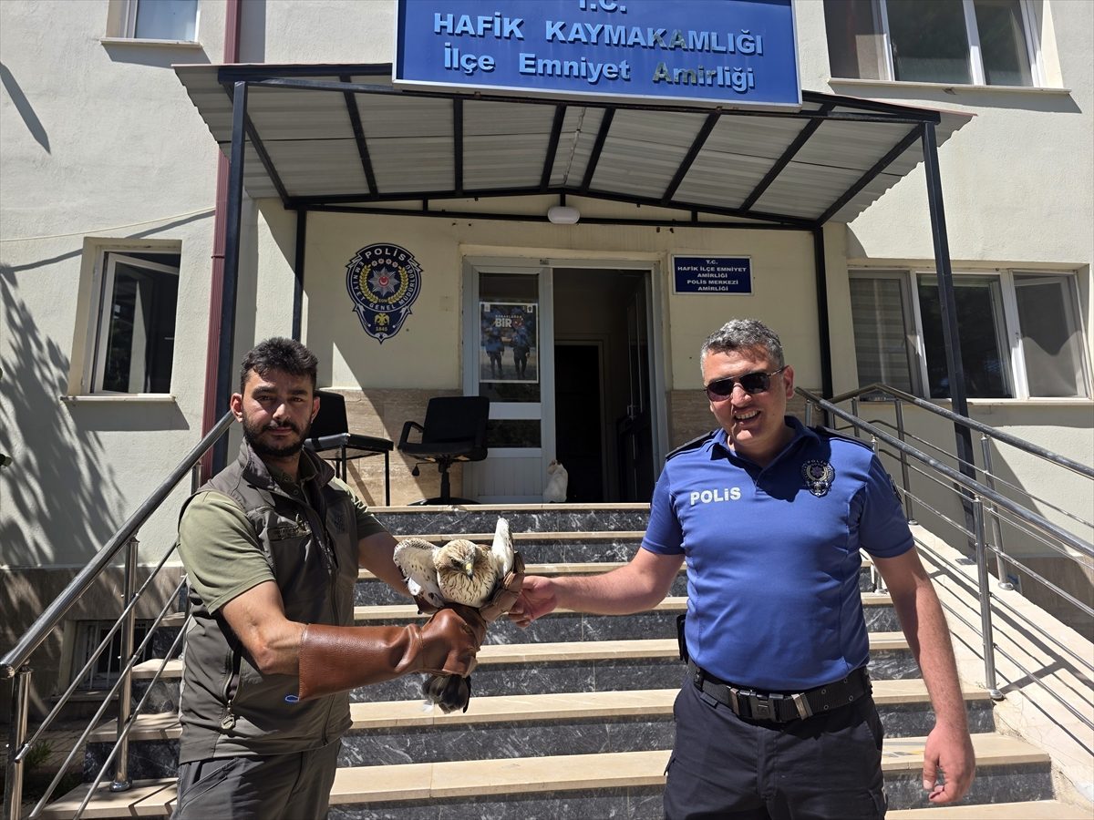 Sivas’ta polislerin bulduğu yaralı kartal yavrusu tedaviye alındı