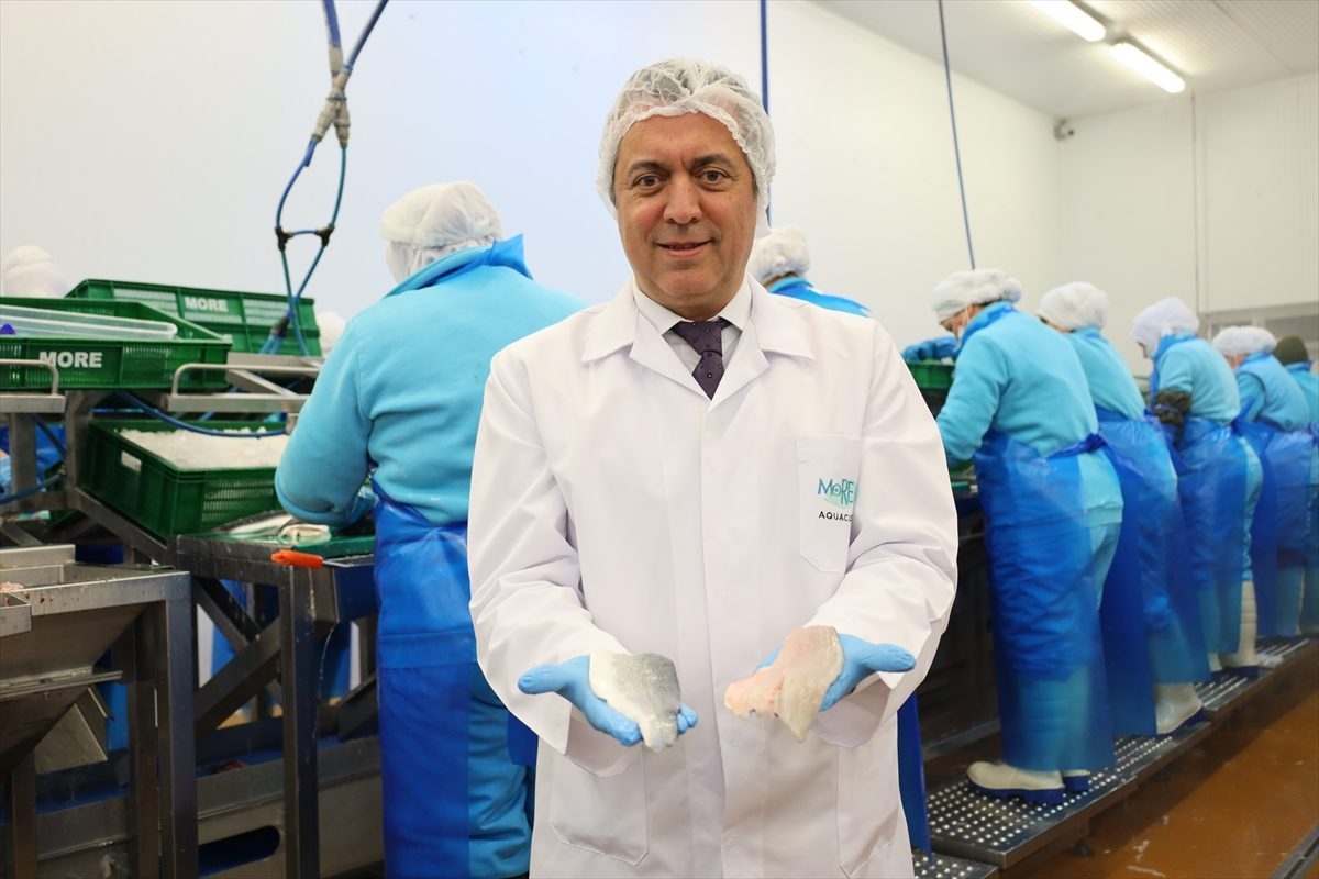 Su ürünleri ve hayvansal mamulleri ihracatı ilk yarıda 1,9 milyar doları aştı
