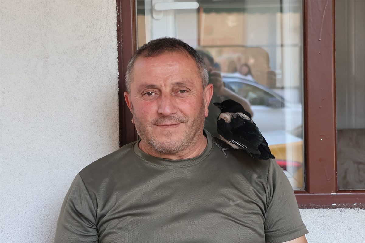 Taksicilerin şefkati saksağan yavrusunu duraktan ayırmadı
