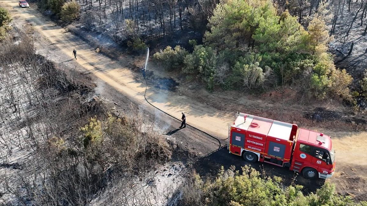 Tekirdağ’da çıkan orman yangını söndürüldü