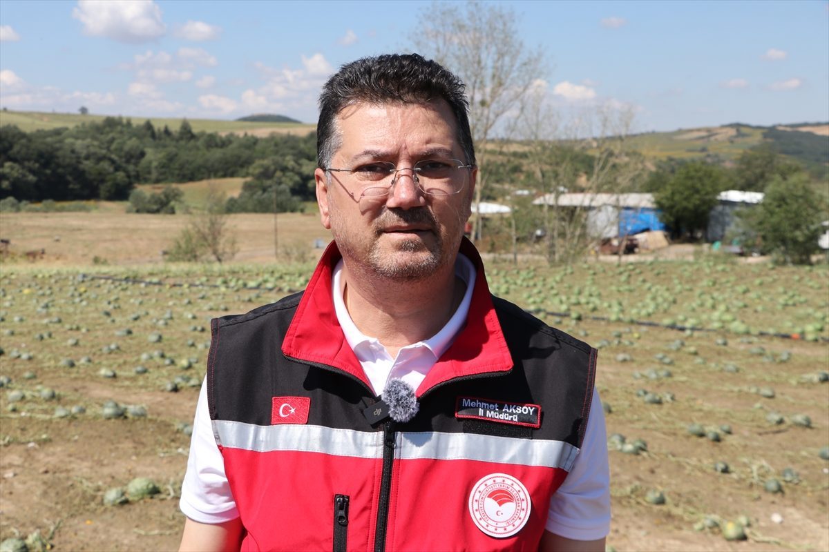 Tekirdağ’da etkili olan doludan 35 bin dekar tarım alanı zarar gördü