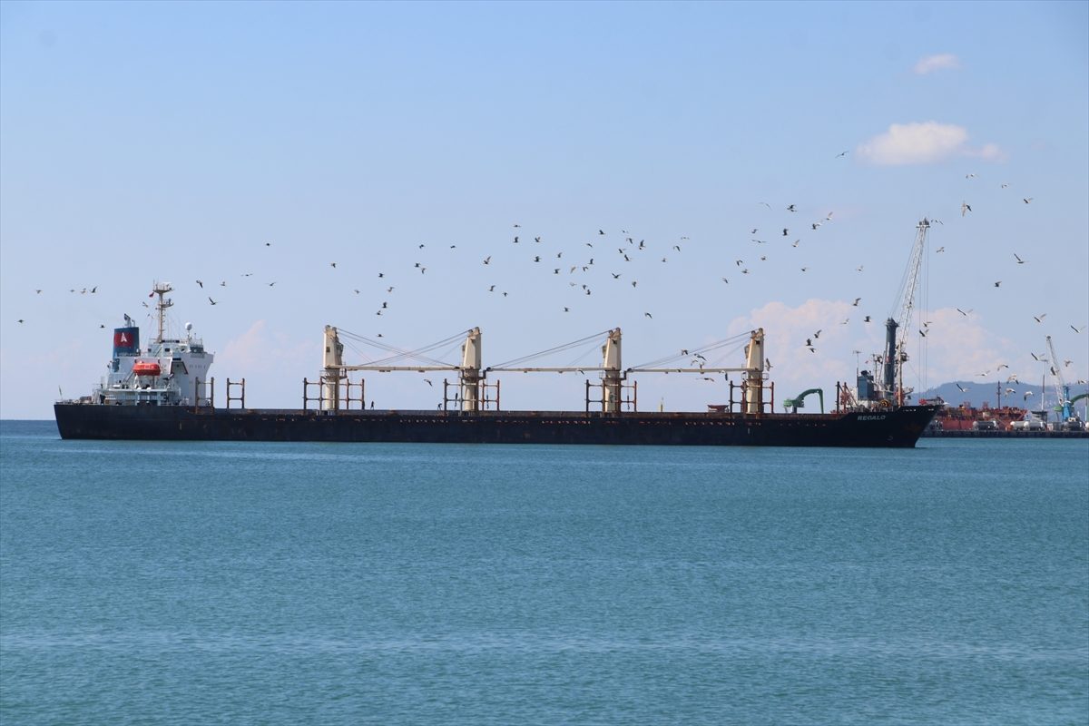 Tekirdağ’da karaya oturan yük gemisi çevresinde güvenlik önlemi alındı
