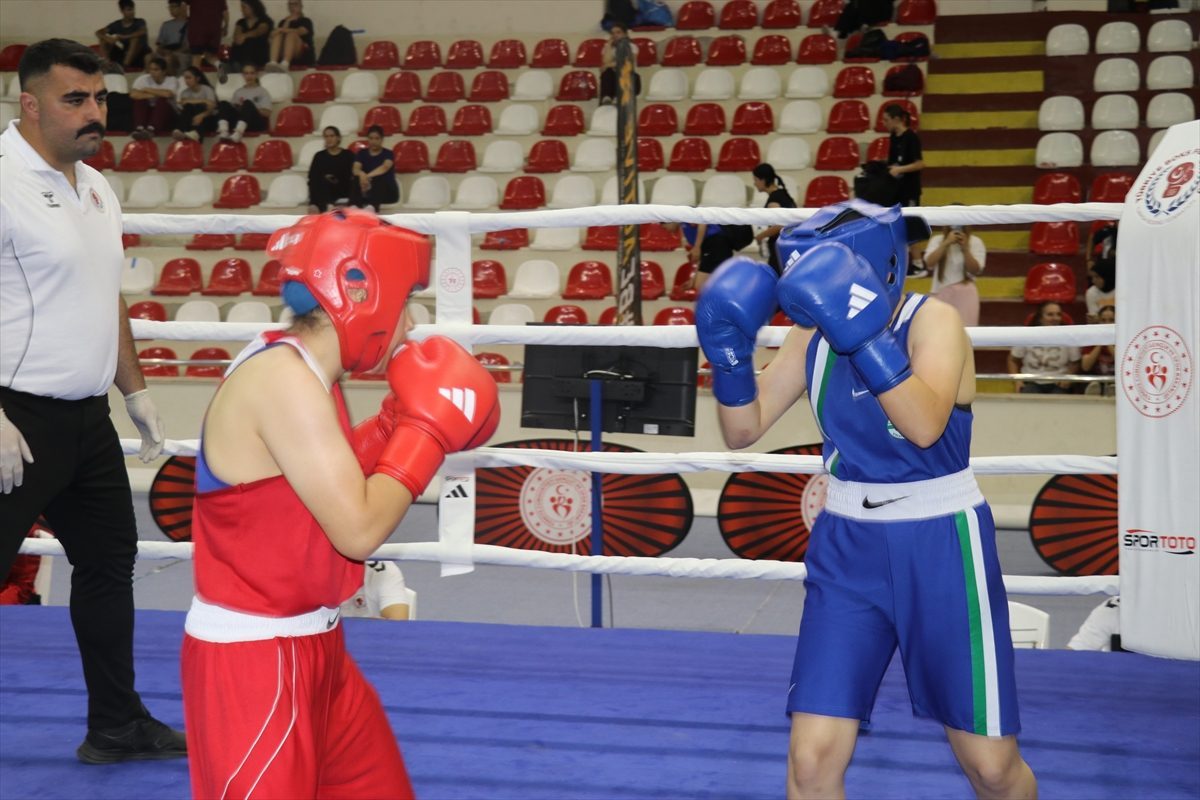 Türkiye Ferdi Boks Şampiyonası, Amasya’da başladı
