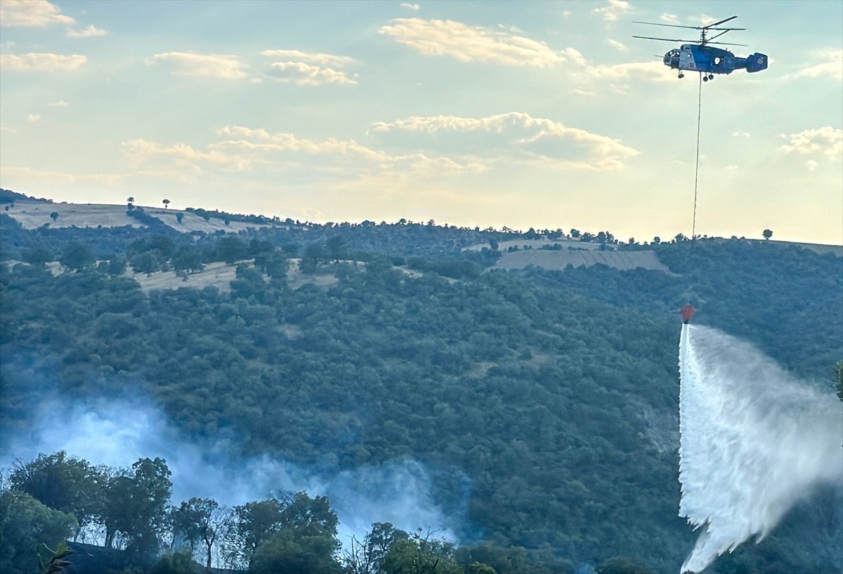 Uşak’ta meşelik alanda çıkan yangına müdahale ediliyor
