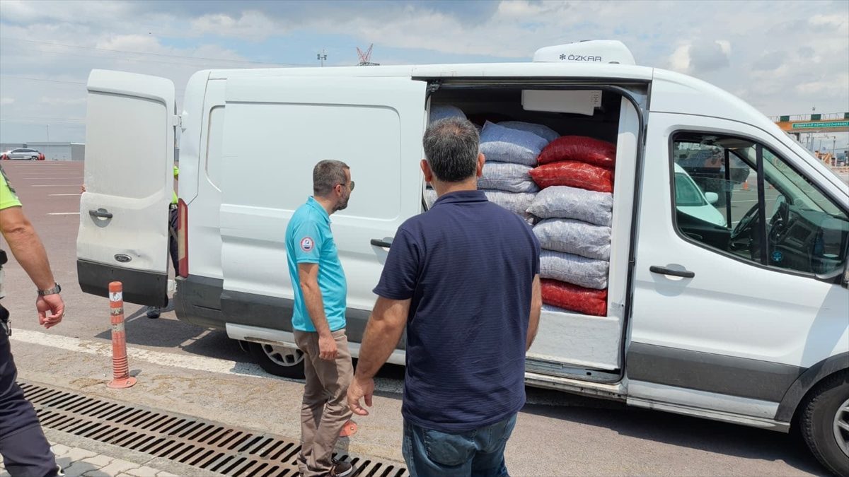 Yalova’da 3 ton kaçak avlanan midye ele geçirildi