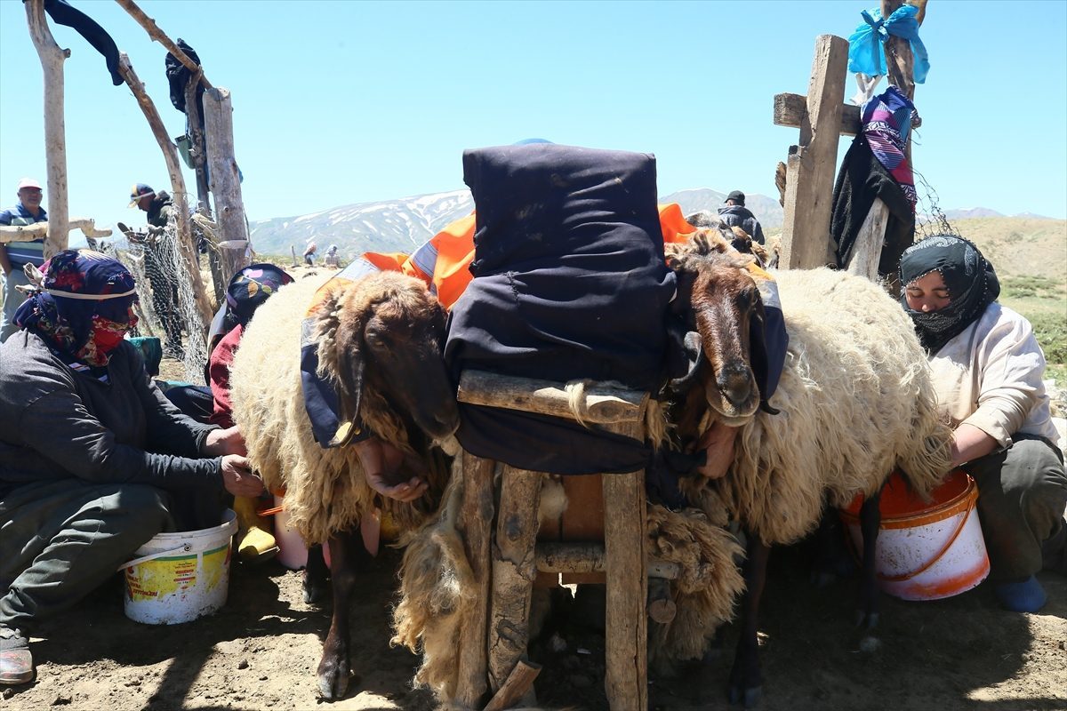 Yazın ortasında soba yakarak ısınıyorlar