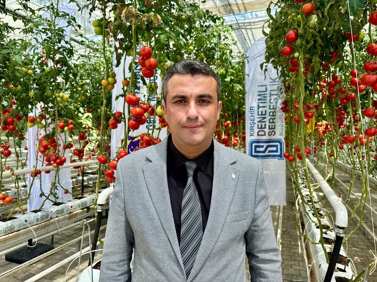 Yükümlüler örtü altı sebze yetiştiriciliğiyle üretime katılacak