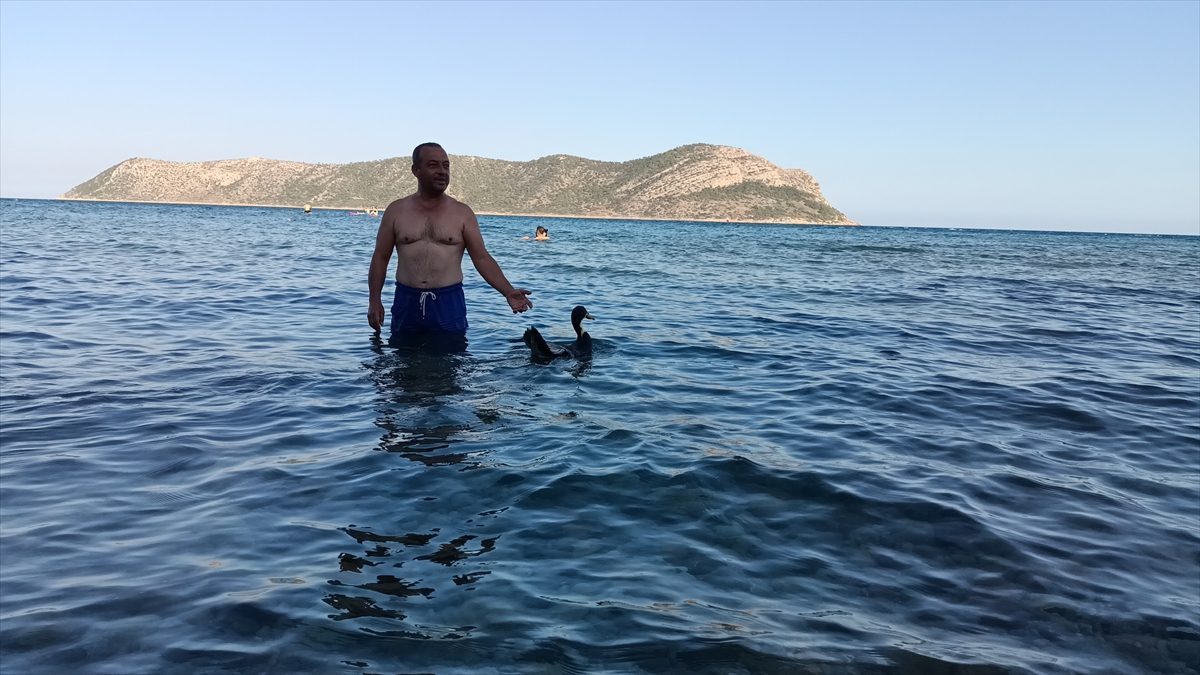 7 yıl önce sahiplendiği ördek “Moli” ile Akdeniz’in mavi sularında tatil yapıyor