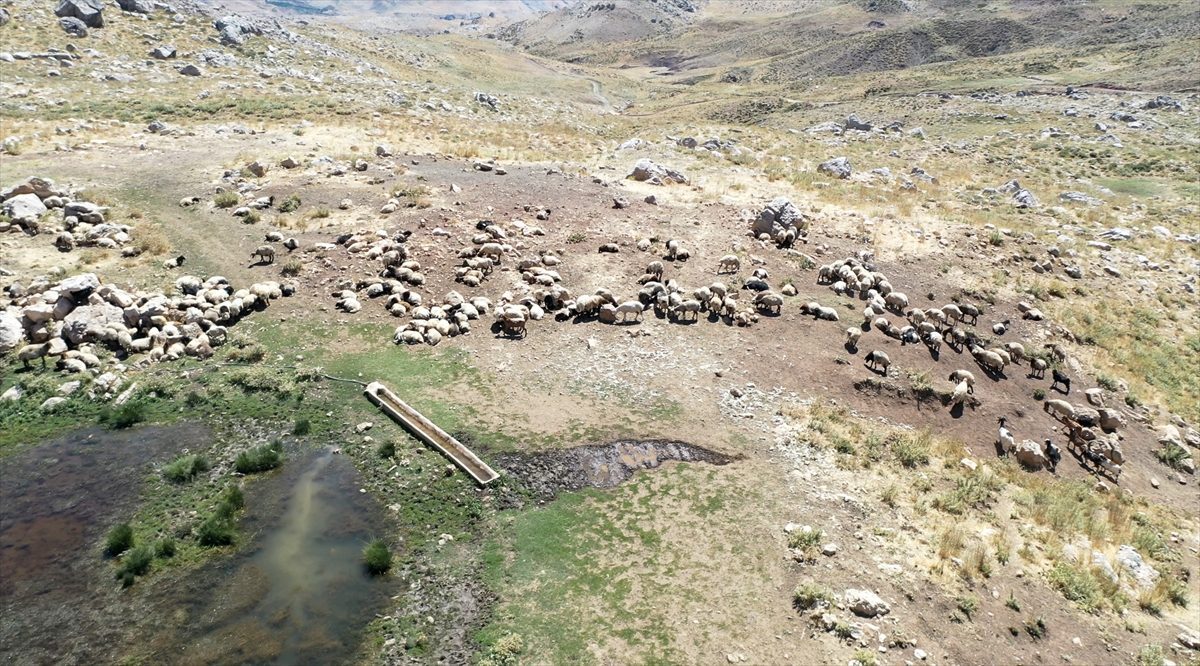 Adıyaman’ın yüksek rakımlı yaylalarında göçerlerin üretim mesaisi